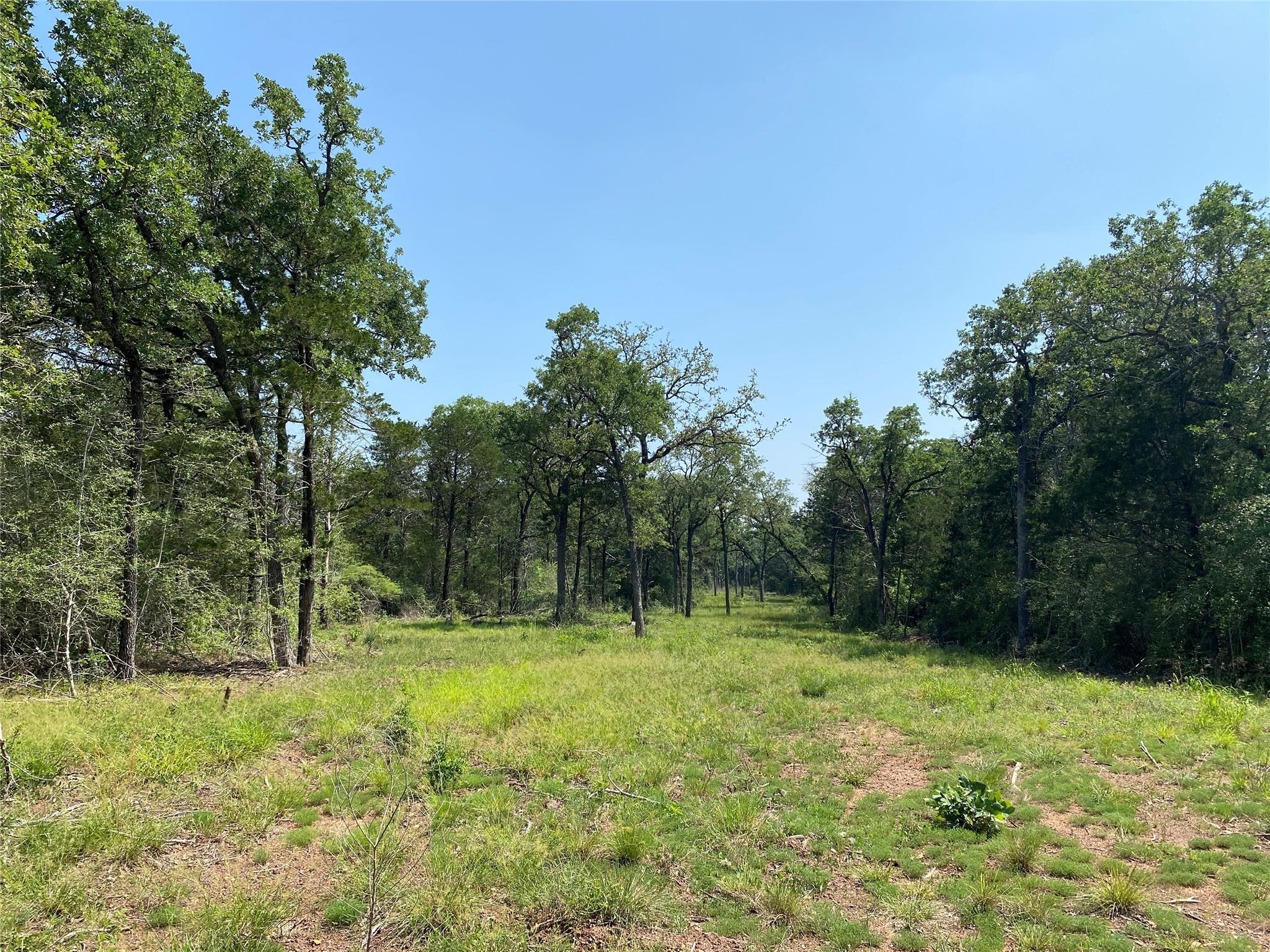 Tbd High Crossing Rd - Tract 8 Tx 78957