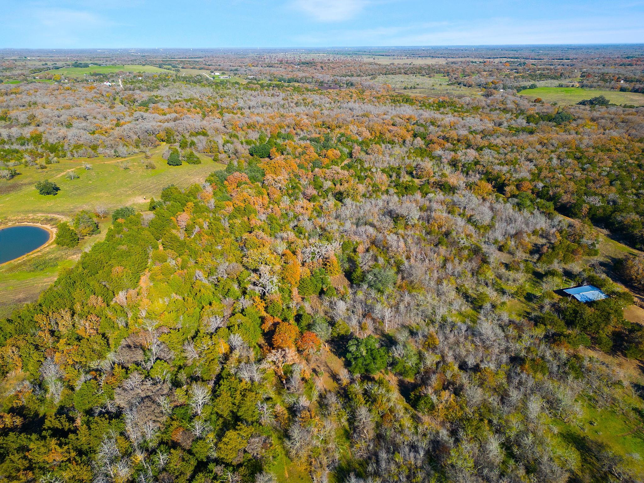 272 Deadwood Tx 78621