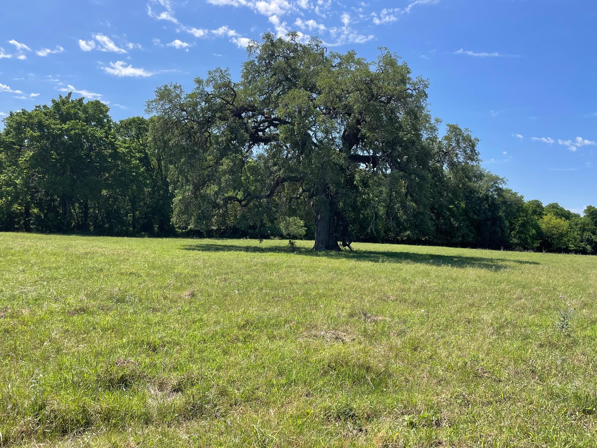 Tbd 144.45 Acres Tx 78957