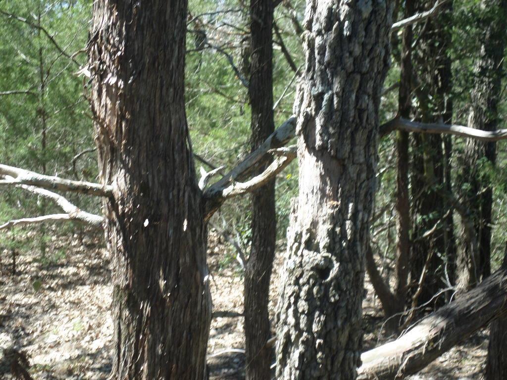 Tbd R68370 Walter Hoffman Unit H Tx 78612