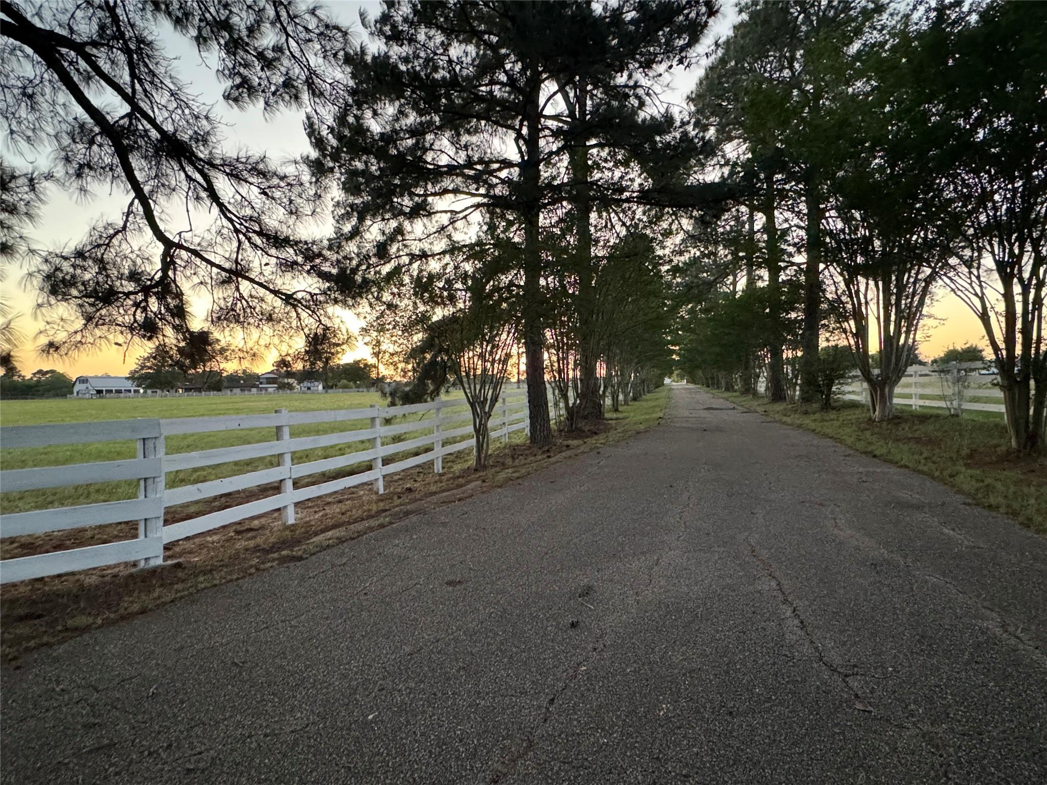 2520 Hwy 304 Tx 78957