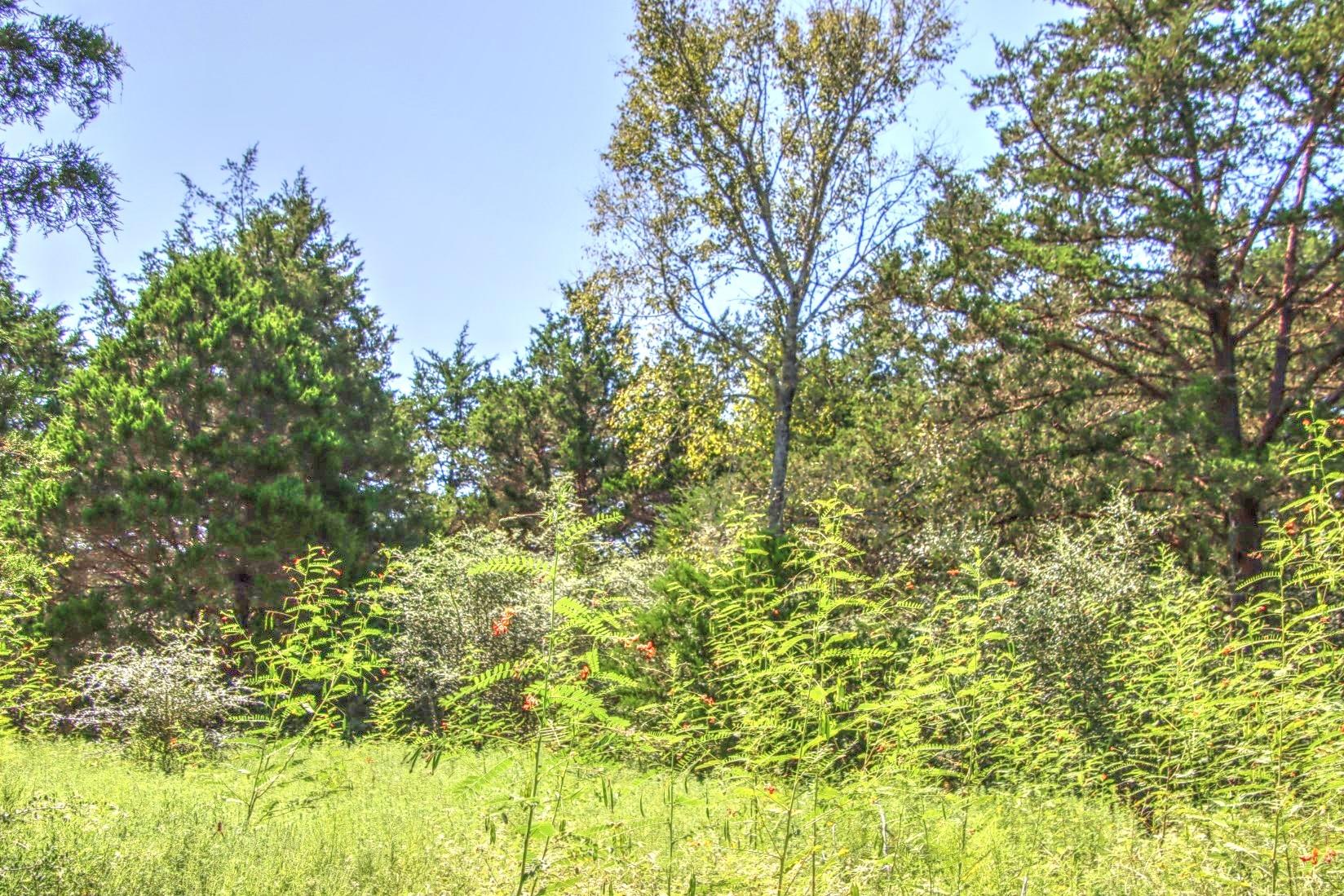 0 Hellinger Tx 78941