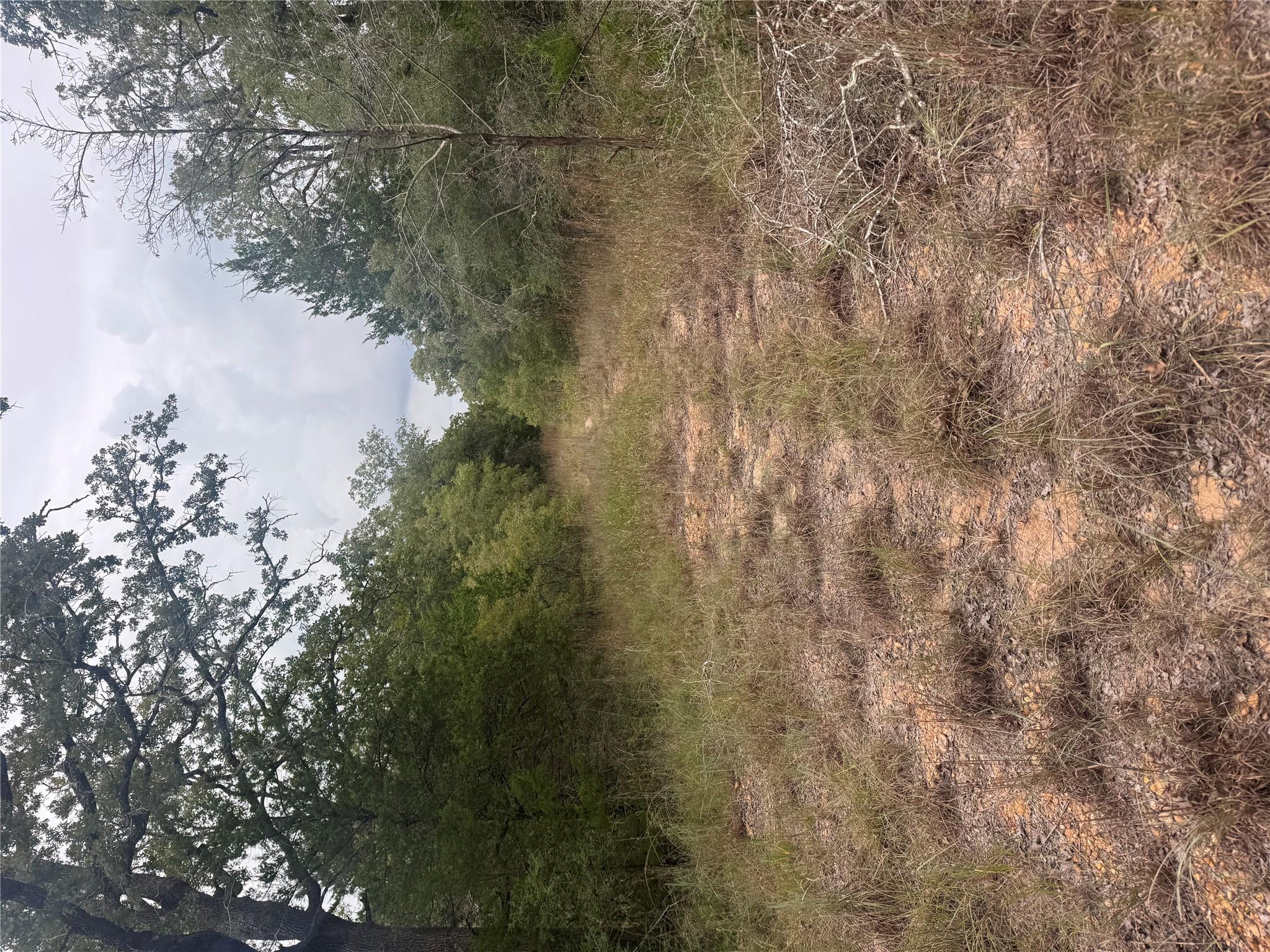 Lot 6 Spruce Tx 78659
