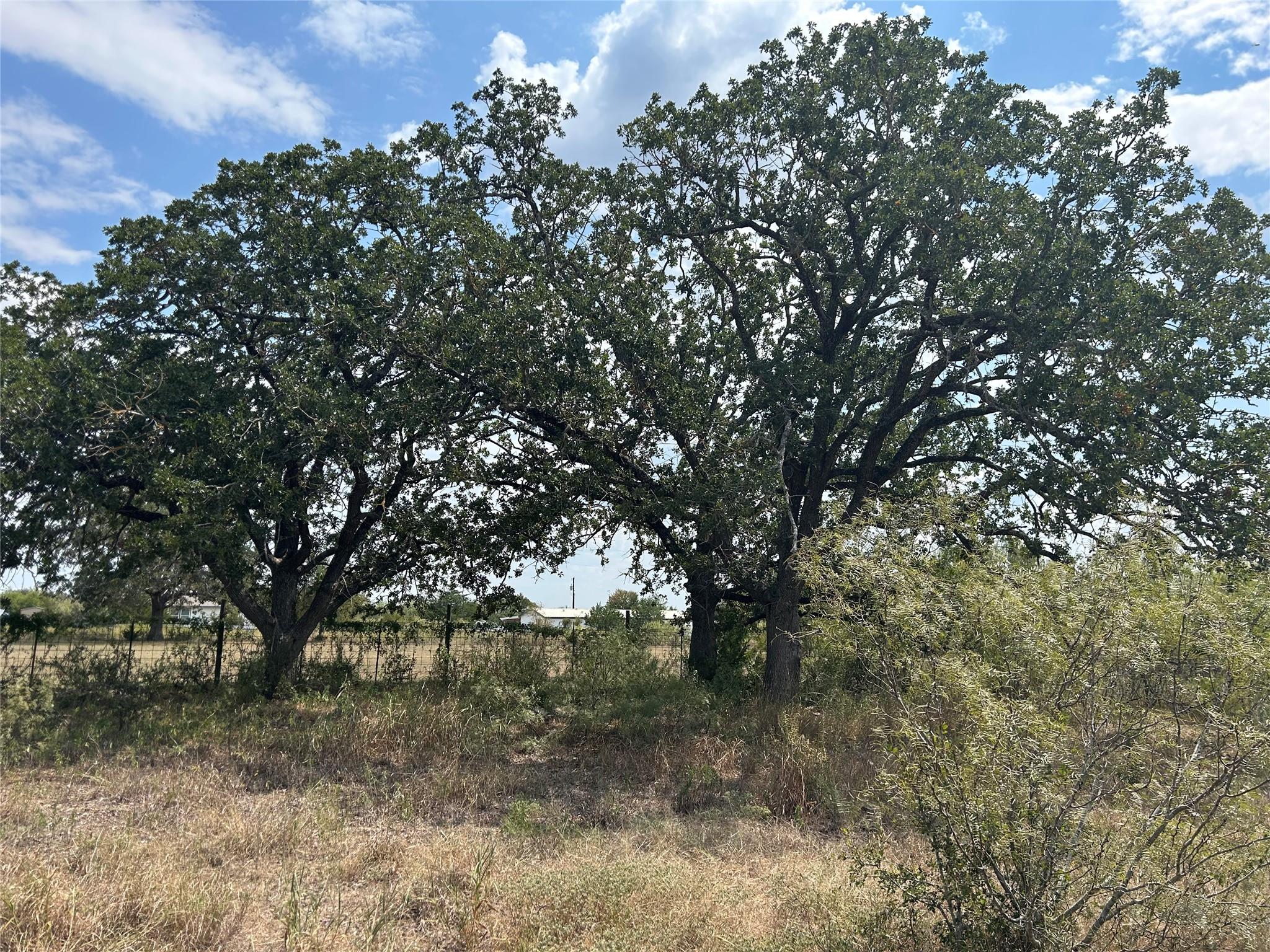 303 Walter Hoffman Tx 78612