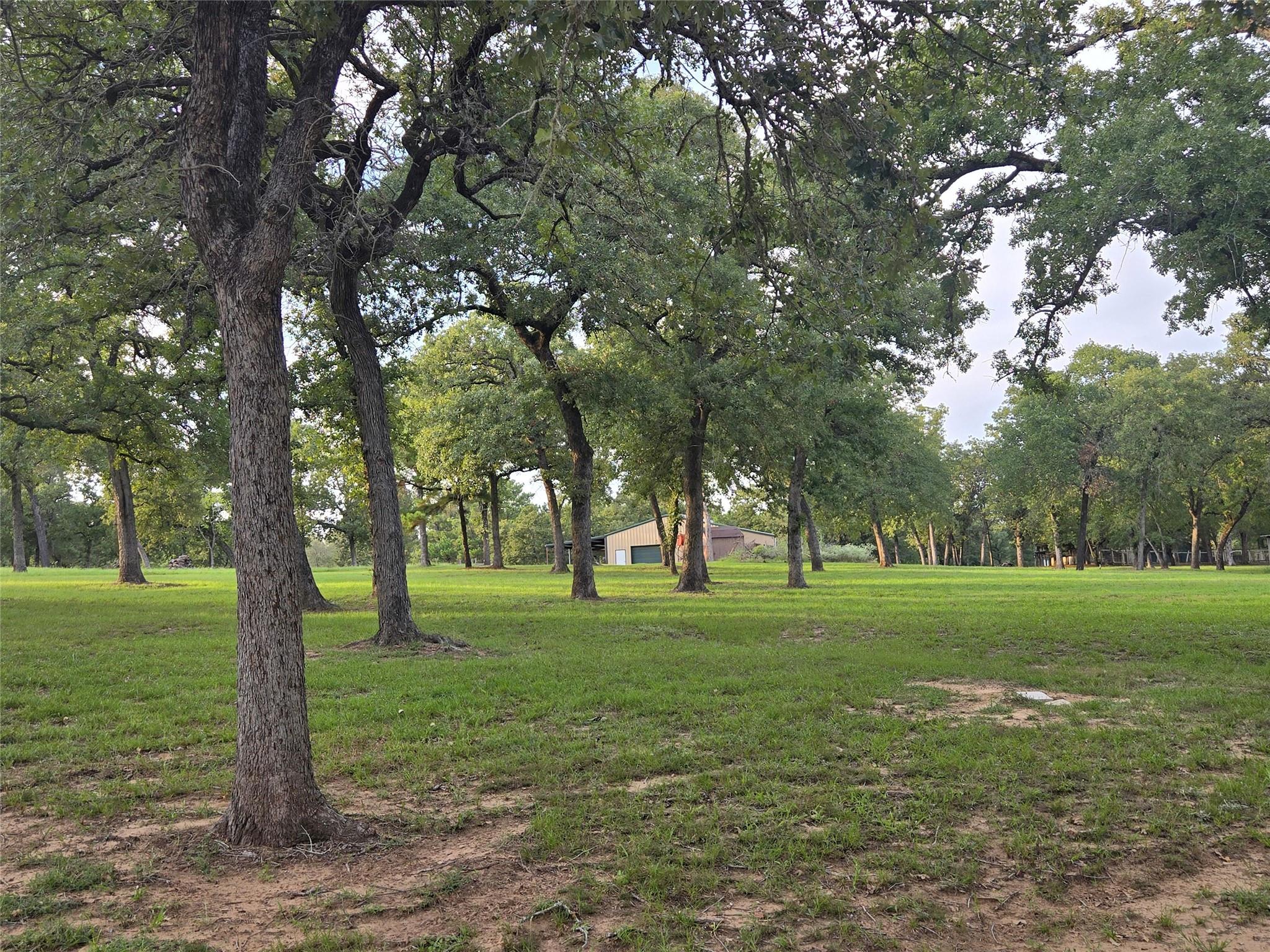 2438 Fm 535 Tx 78953