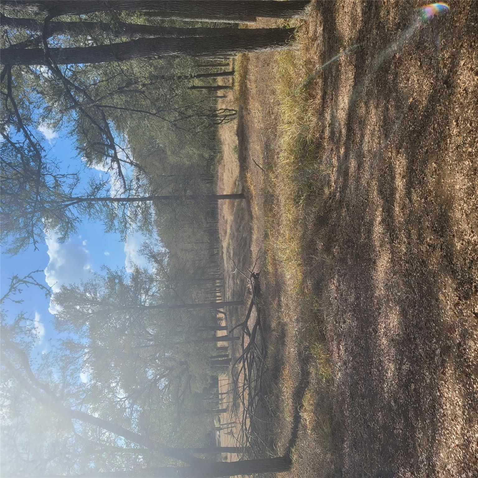 2492 Fm 1704 Tx 78621