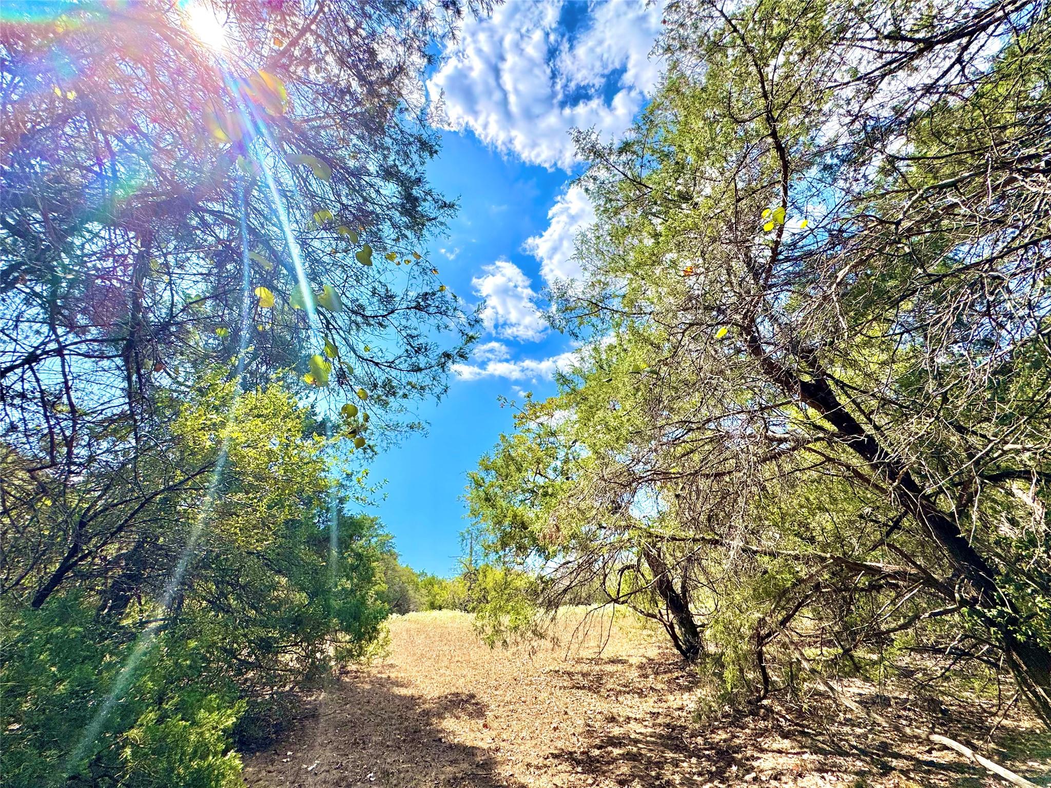 Tbd 50.62 Acres Rabel Tx 78953