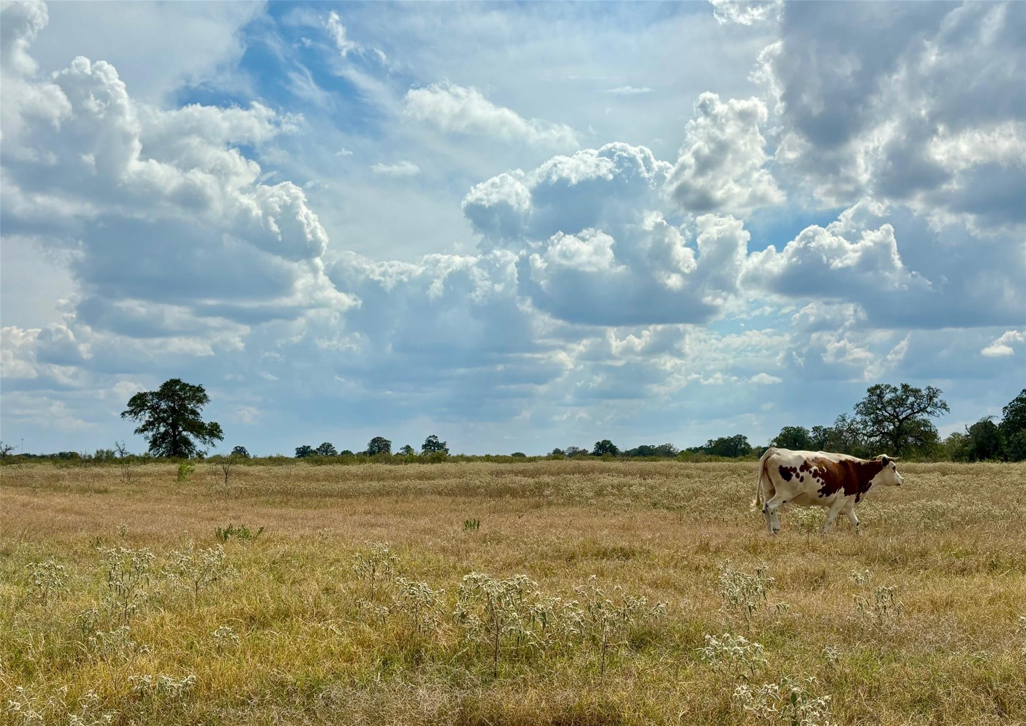 3 Big Sky Ranch Tx 78957