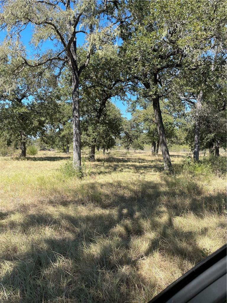 200 Hershal Tx 78612