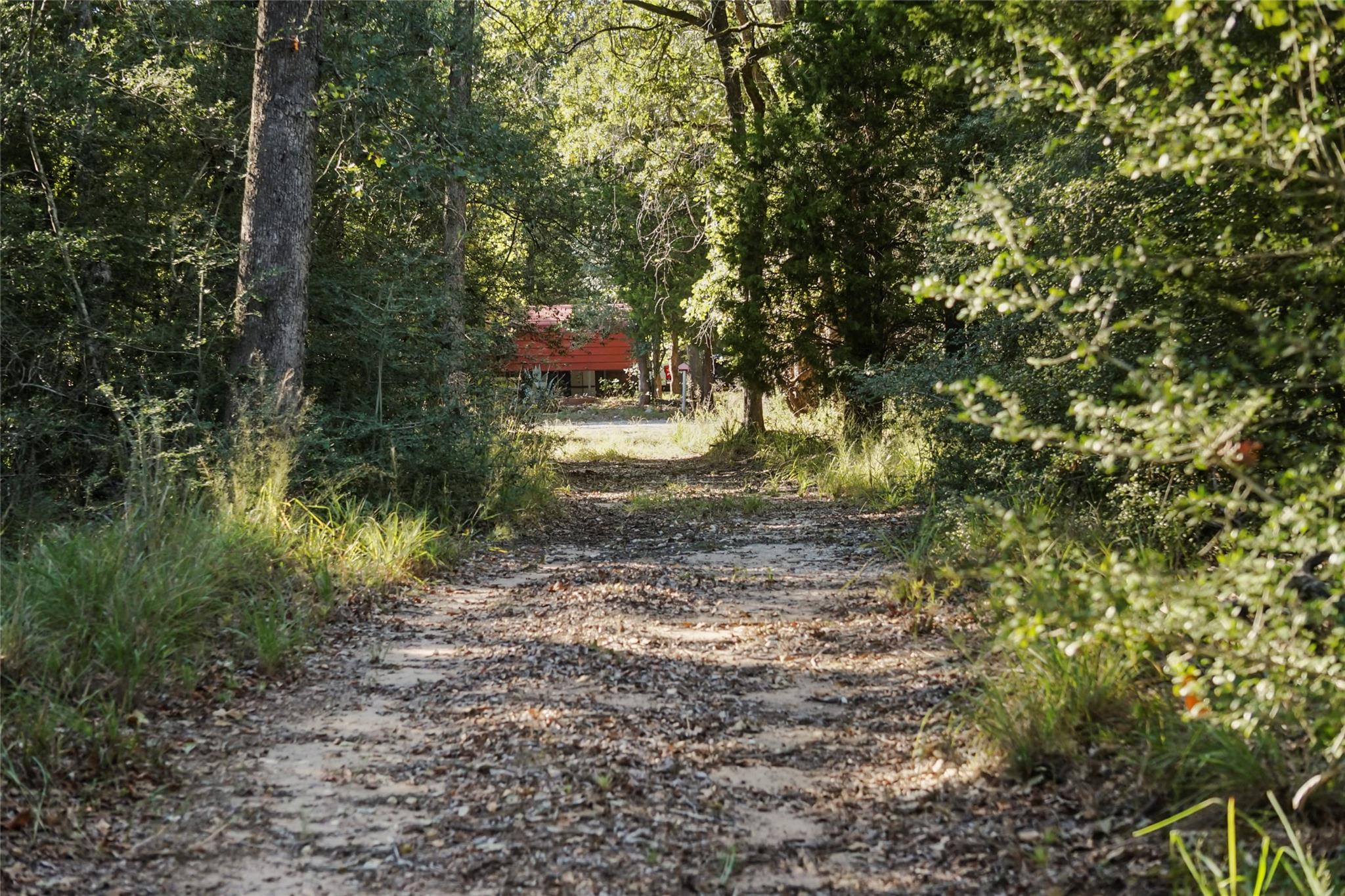 141 Morning Dove Tx 78602
