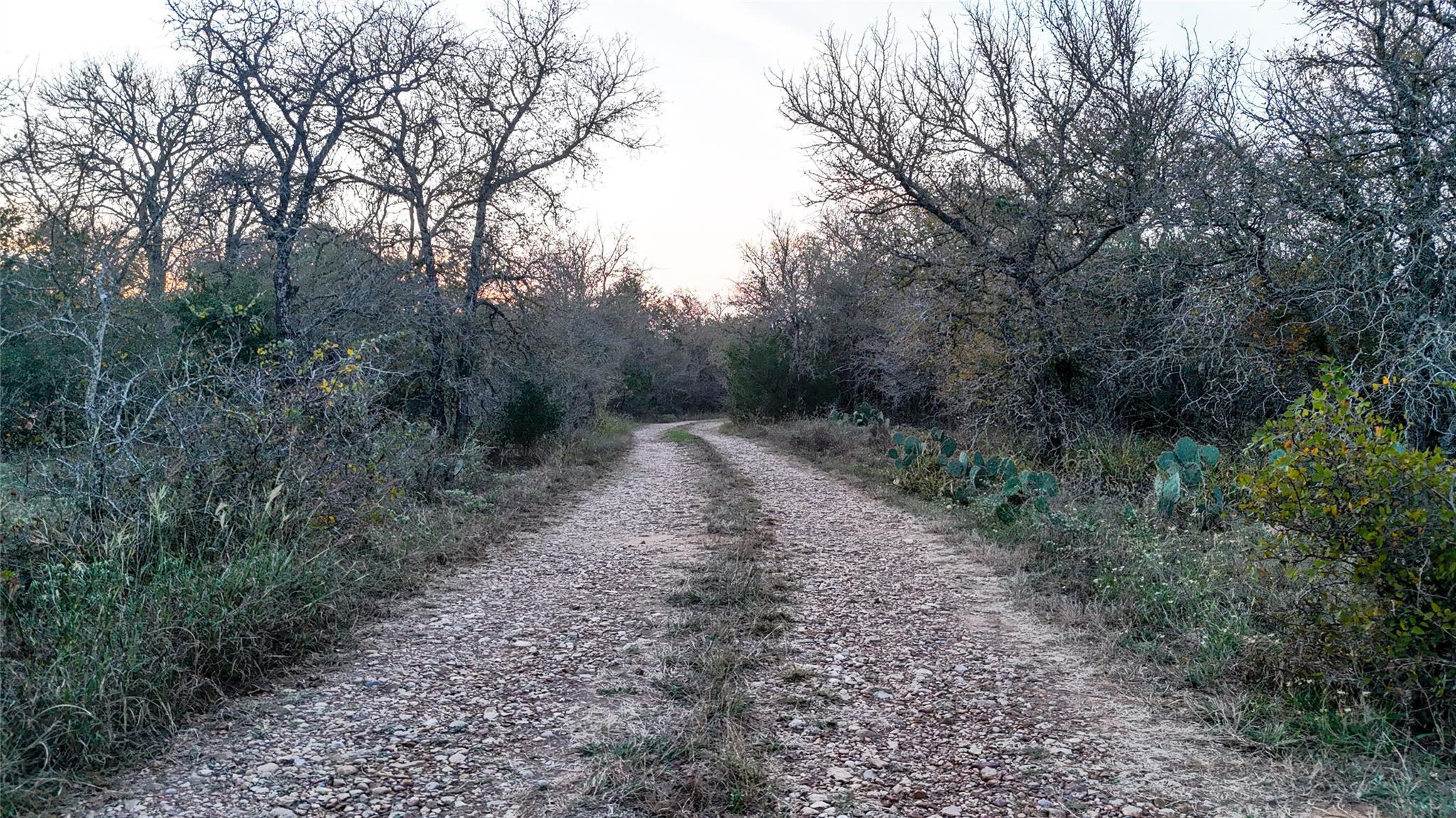 137 Shady Oaks Tx 78612