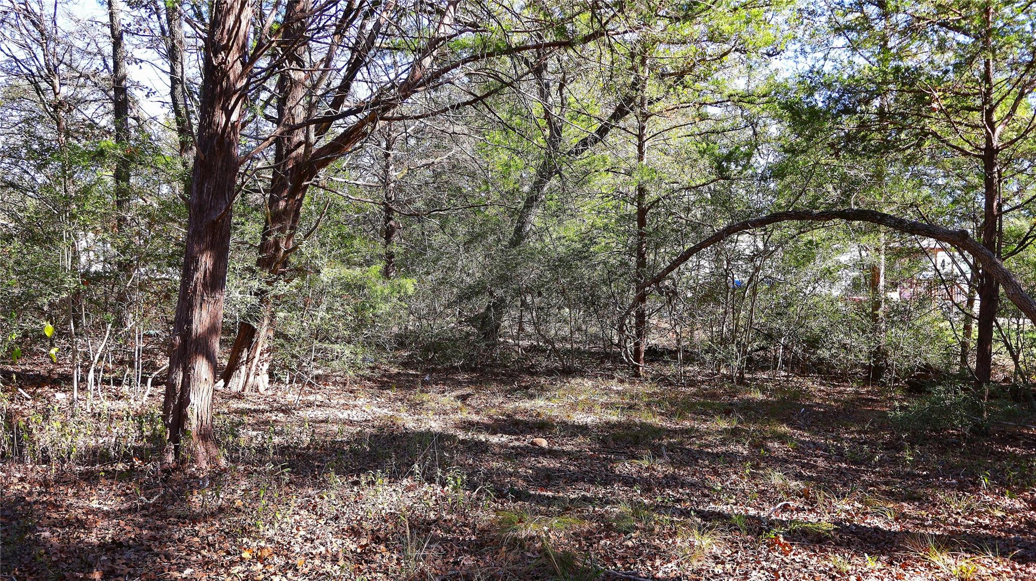 Tbd Choctaw Tx 78957