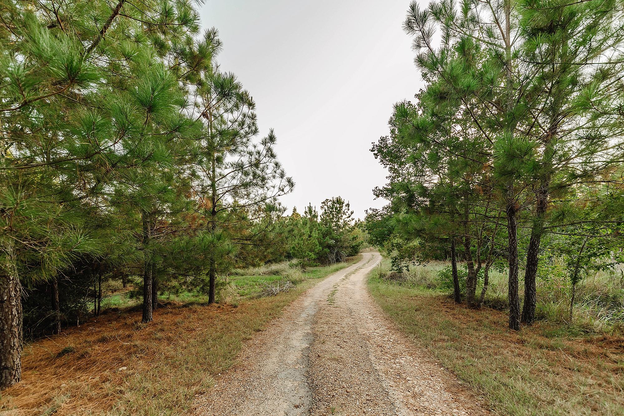 139 Village Forest Tx 78957