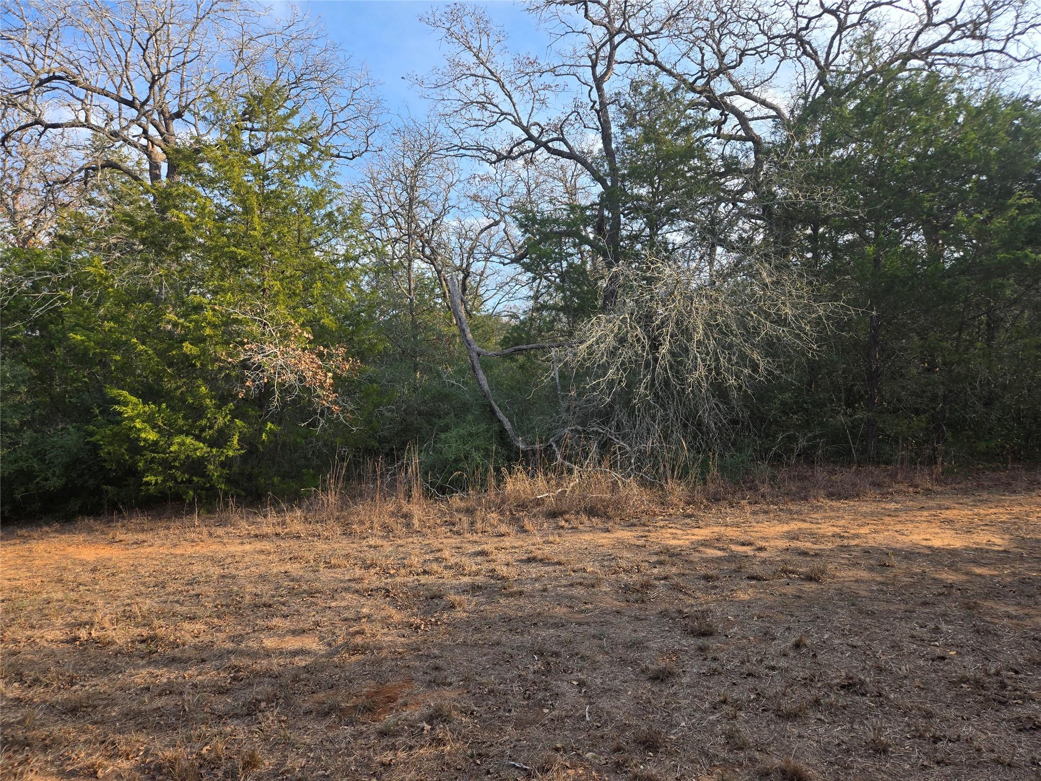 0 Lakeshore Tx 78659