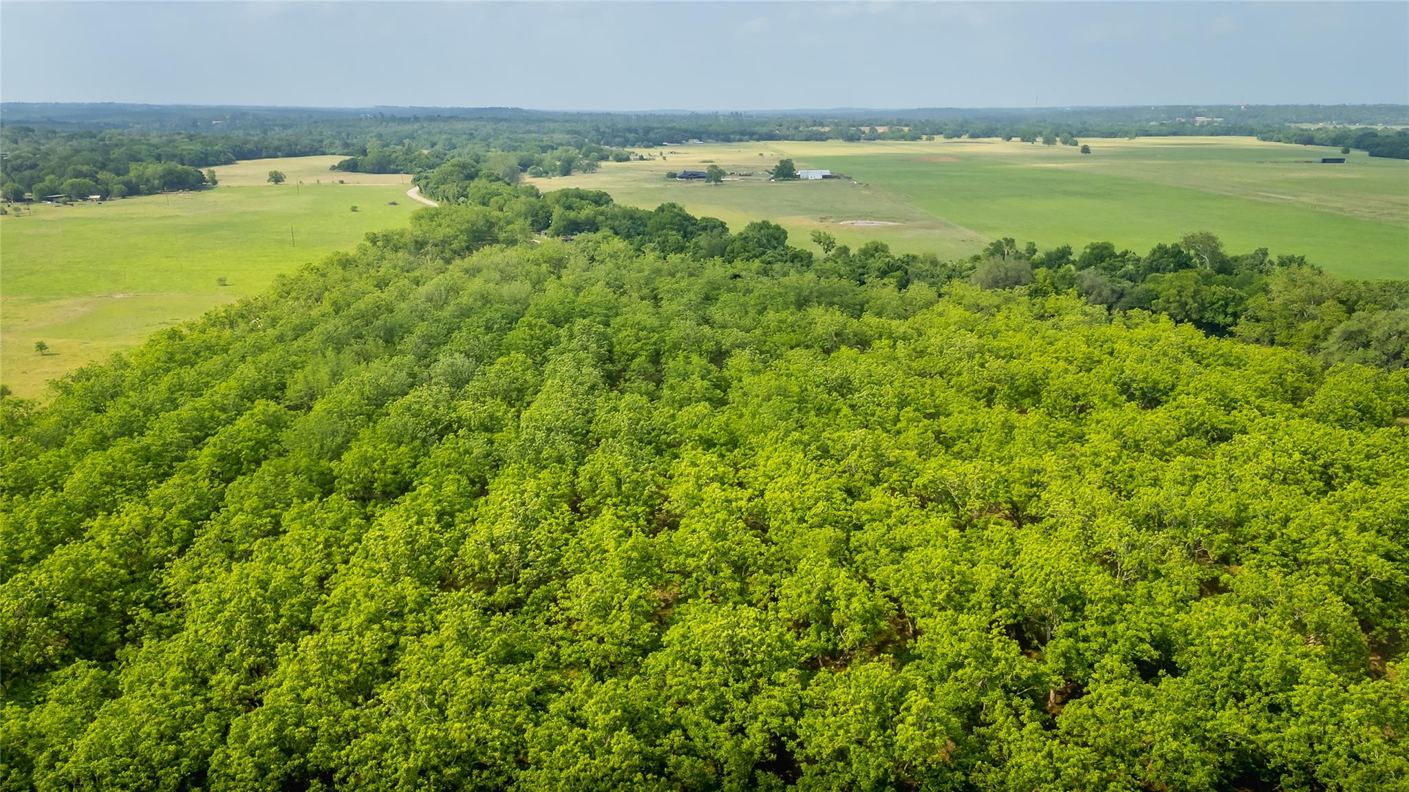 452 Ponderosa Tx 78602