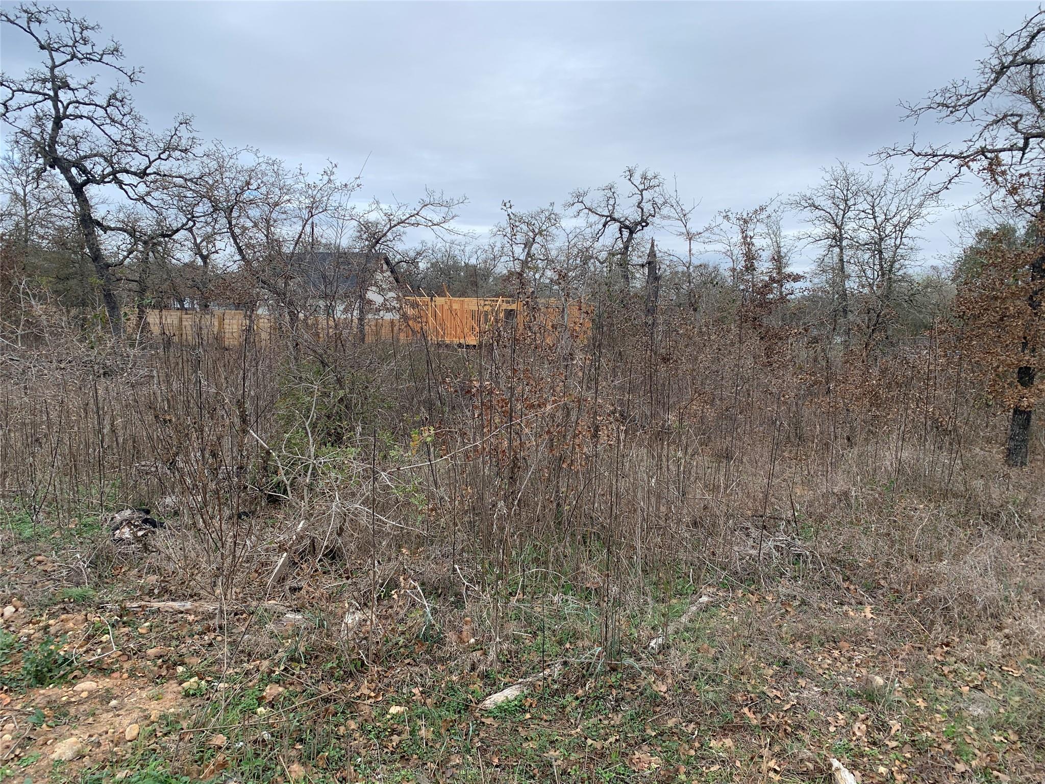 Tbd Chickasaw Tx 78957