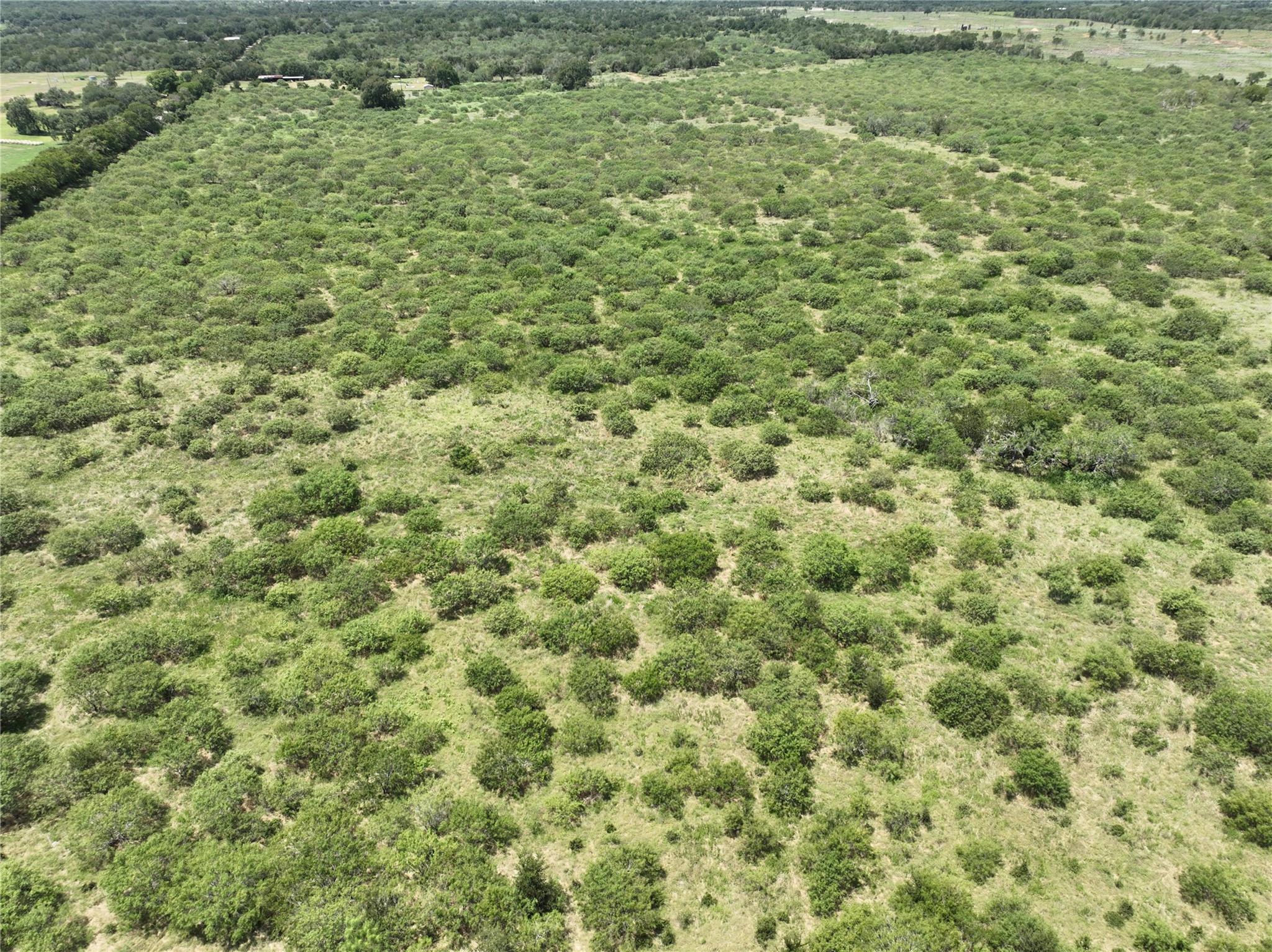 Tbd Lot 10 Young Tx 78662