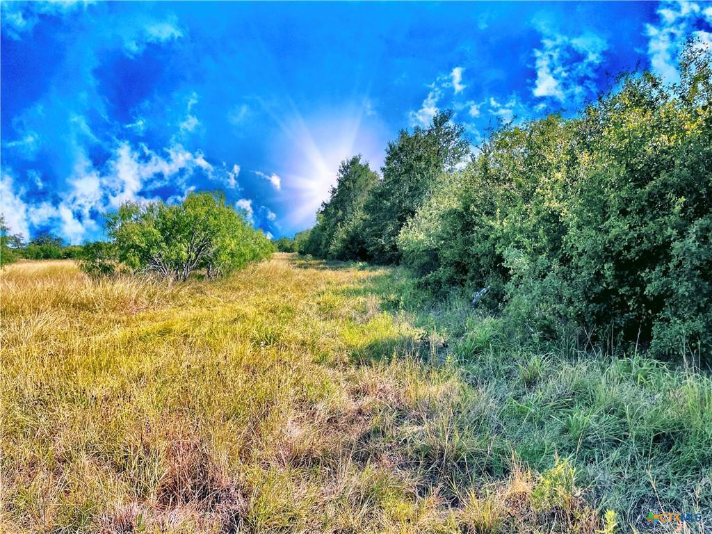 5350 Soda Springs Tx 78648