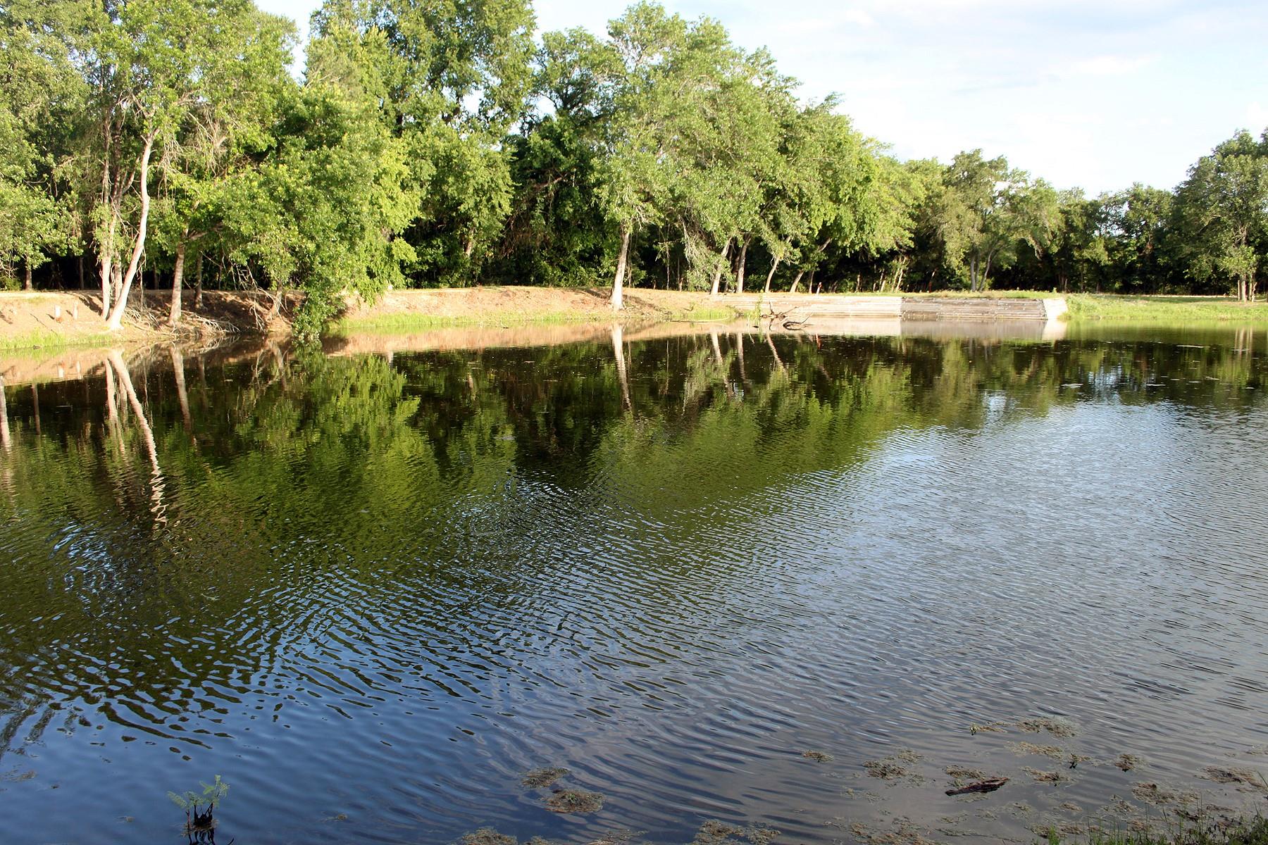 900 Old Lytton Springs Tx 78644