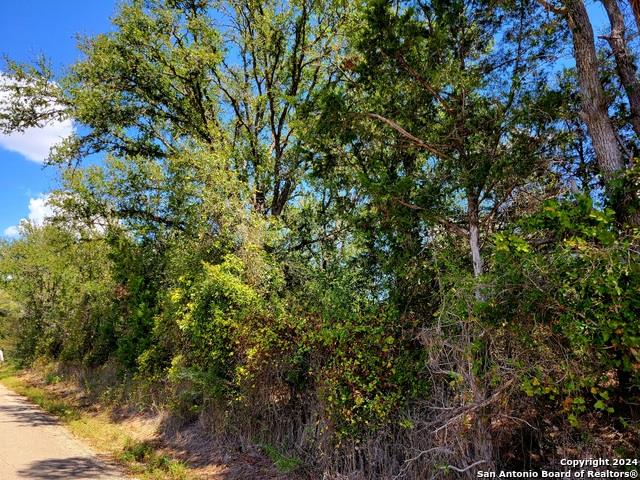 Tbd Dale Ln Tx 78616