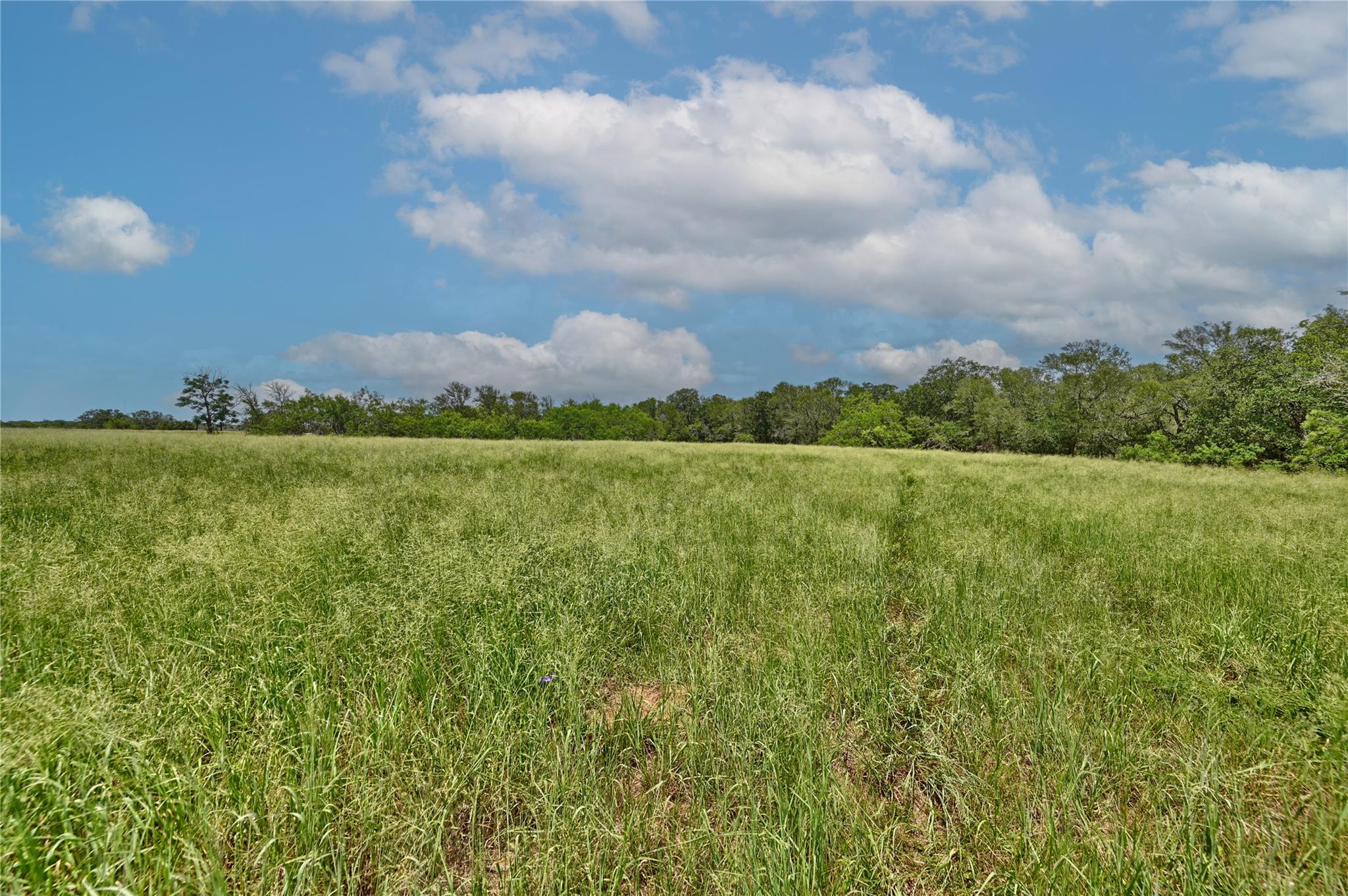 166 Sunny Day Dr Tx 78662