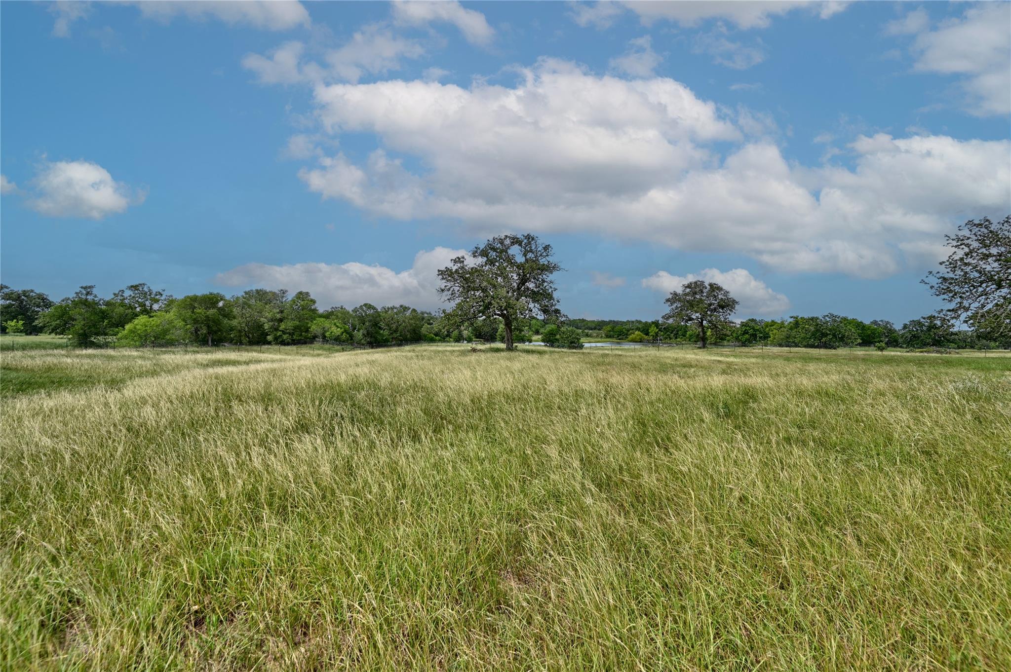 124 Sunny Day Dr Tx 78662