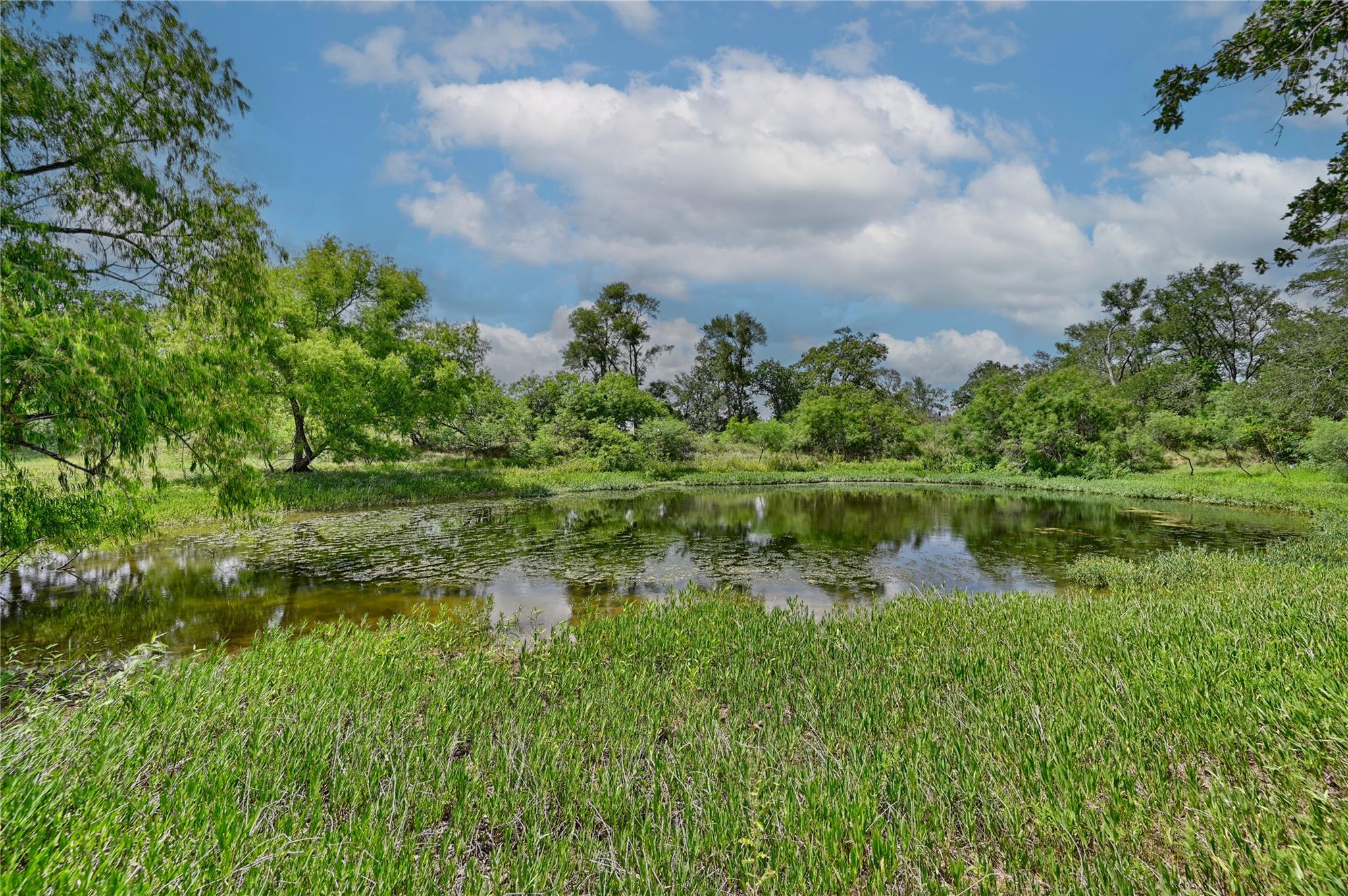 180 Sunny Day Dr Tx 78662