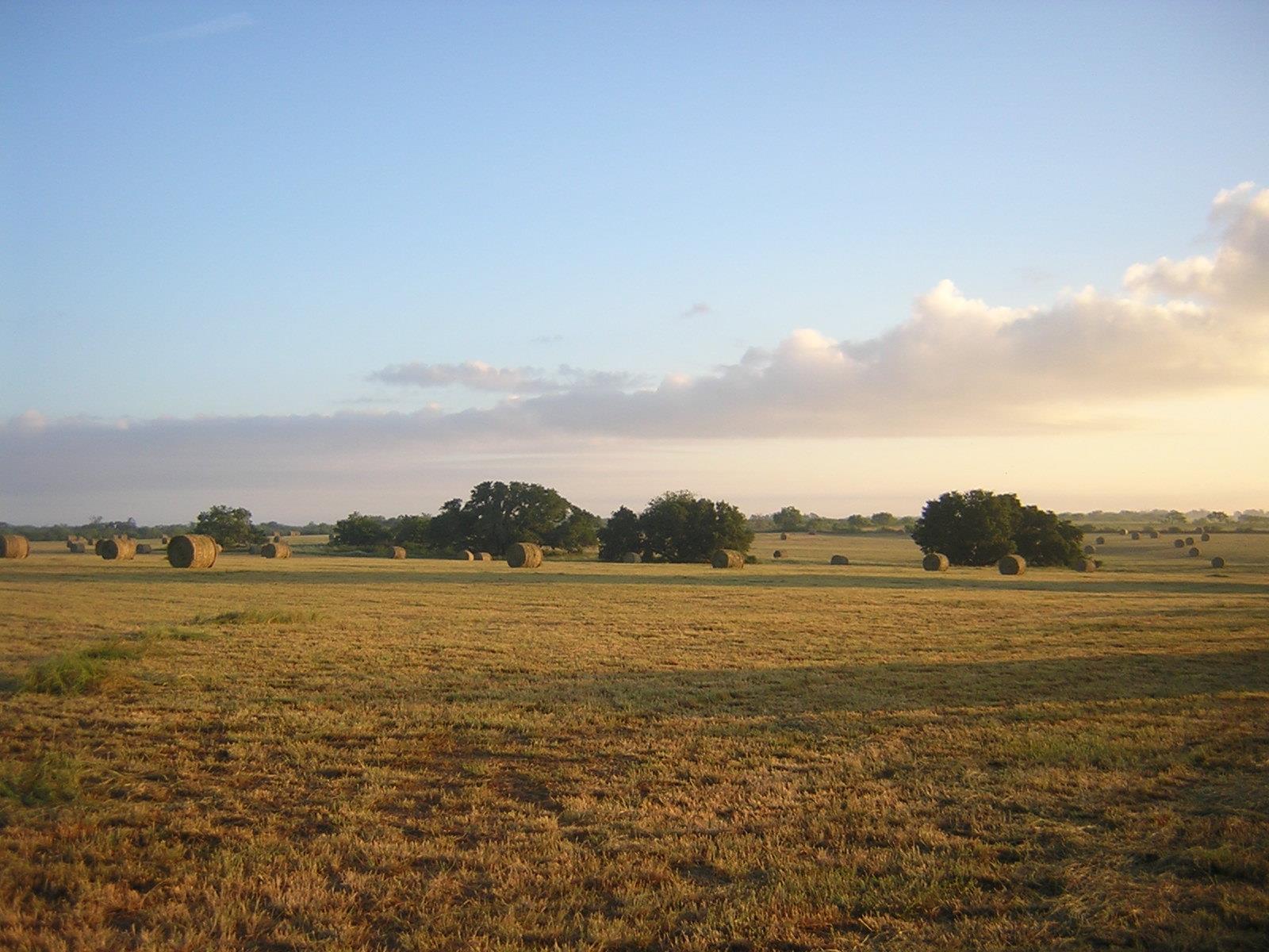 15657 Fm 86 Tx 78616