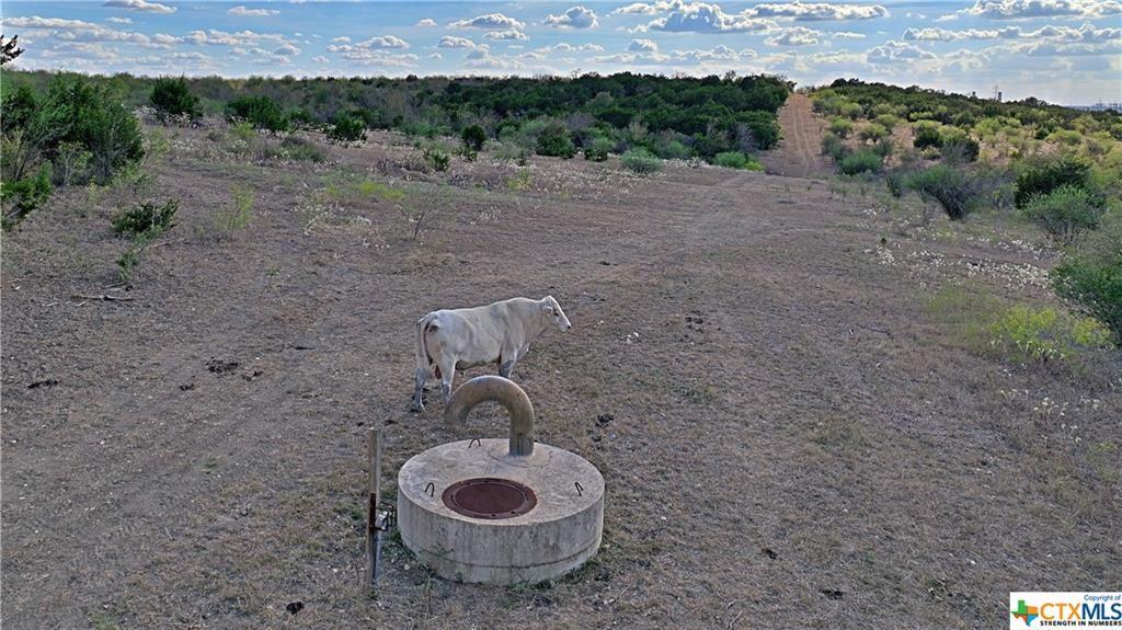 4000 Centerpoint Tx 78666