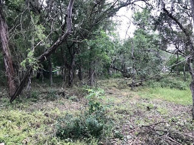 211 Ridgewood Tx 78666