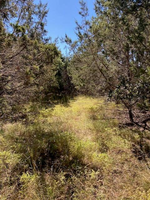 55 York Creek Tx 78619