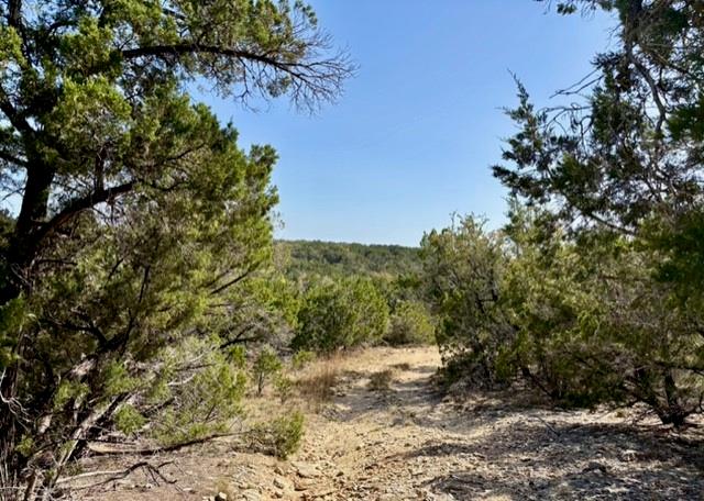 220 Estates Tx 78676