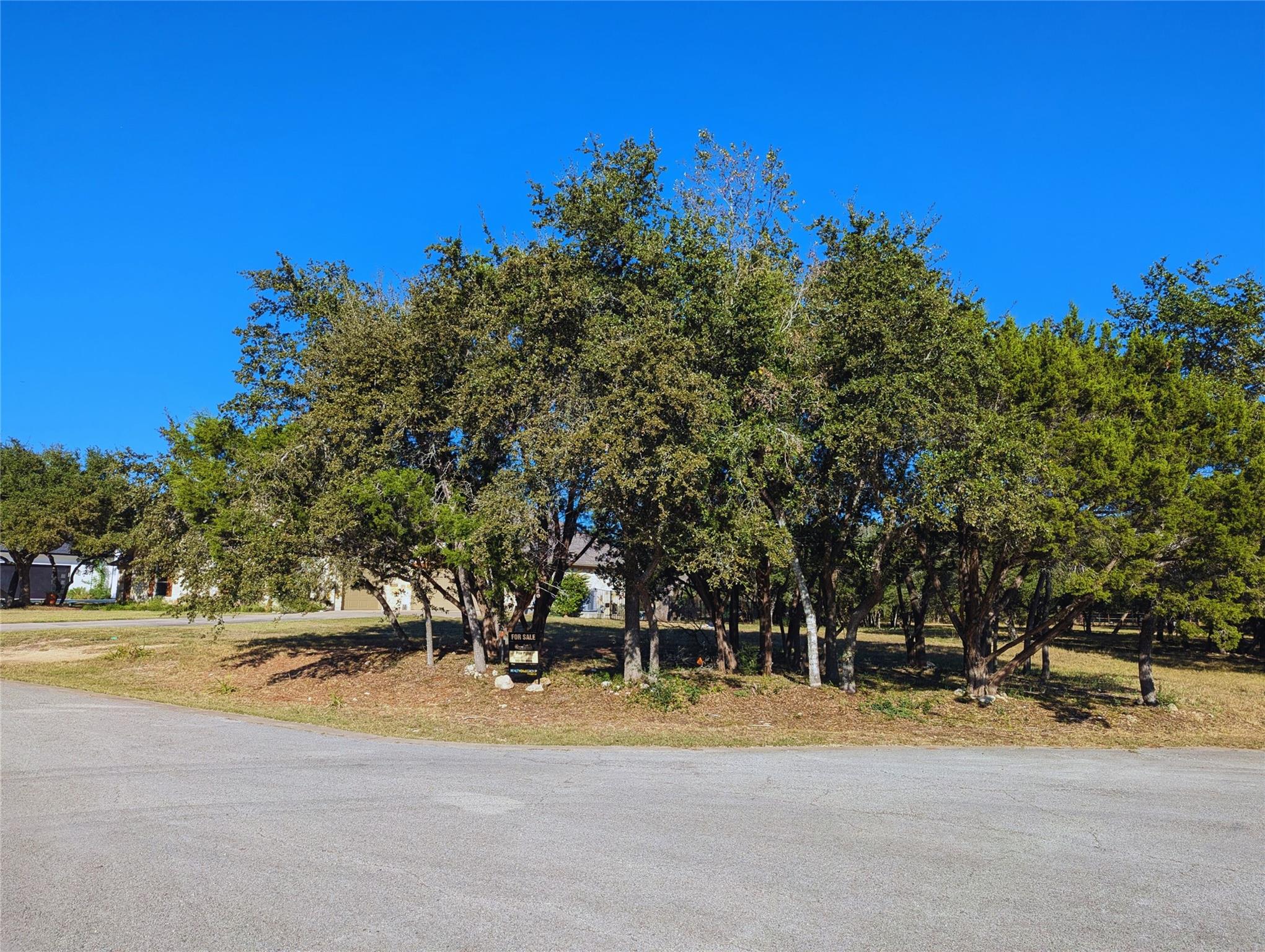 541 Onion Creek Tx 78619