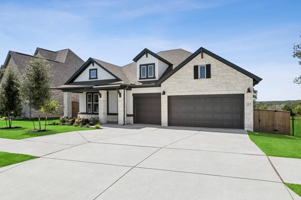 313 Puppy Dog Tx 78666