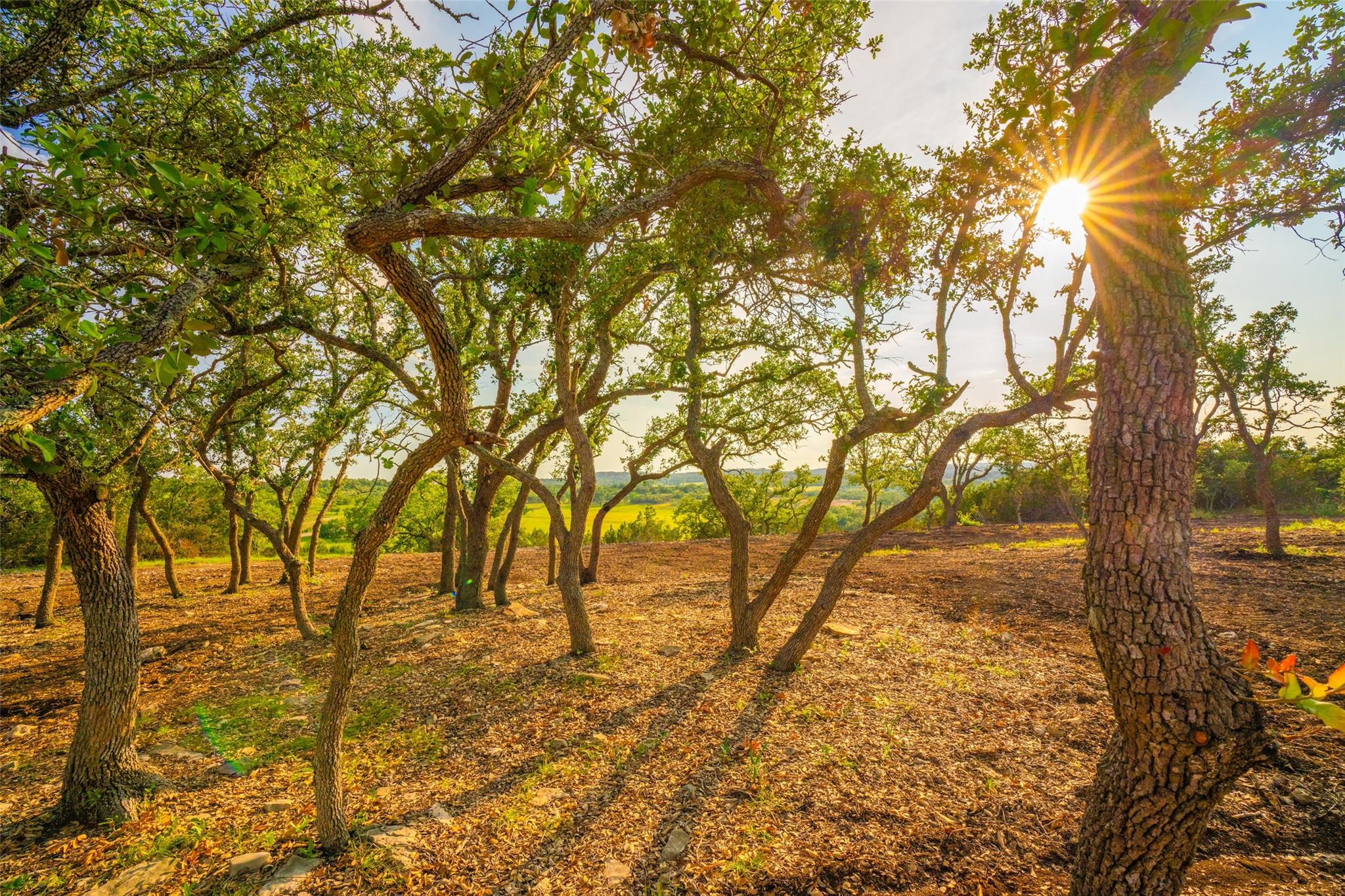 000 Freestone Views Tx 78676