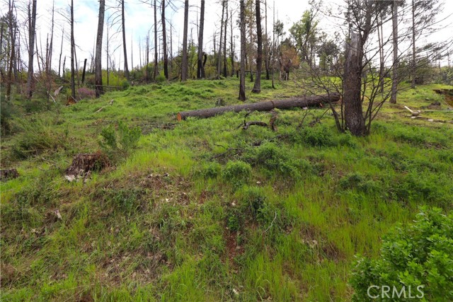 11541 Anderson Springs RD