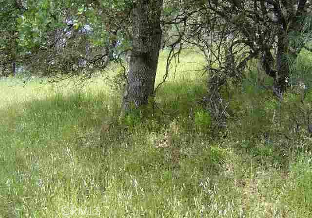 15709 Cache Creek RD