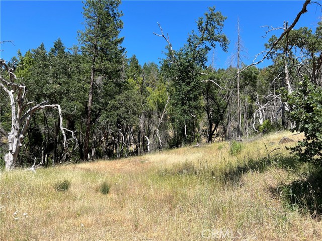 20925 Mid Mountain (17N17 USFS) RD