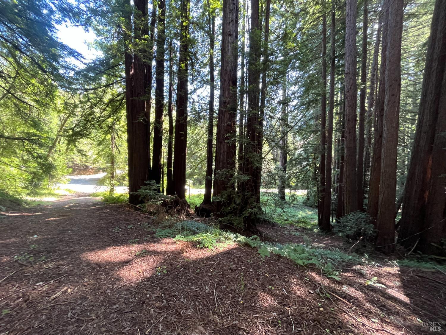 1355 Nicasio Valley Road