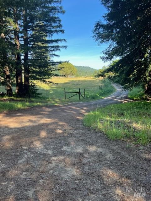 10600 North Fork Drive