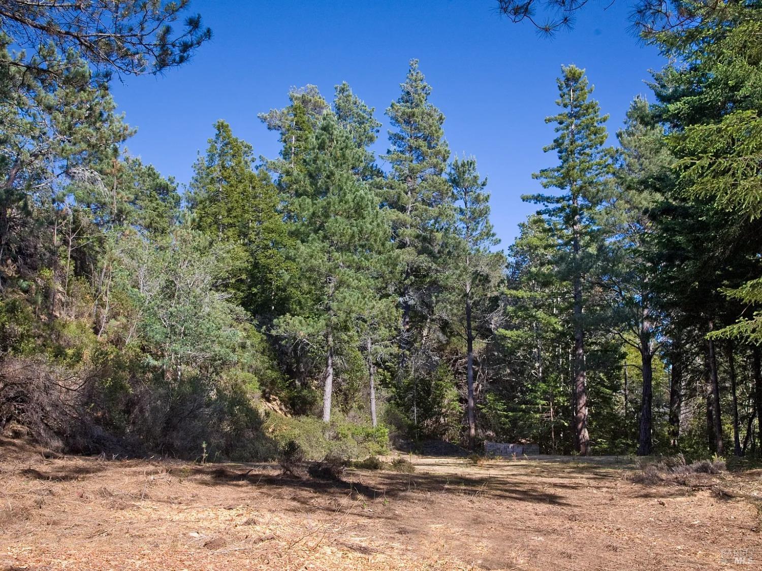 46109 Fish Rock Road