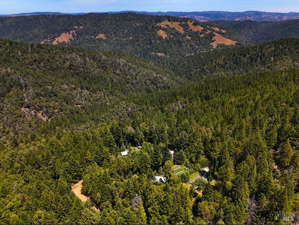 25210 Mountain View Road