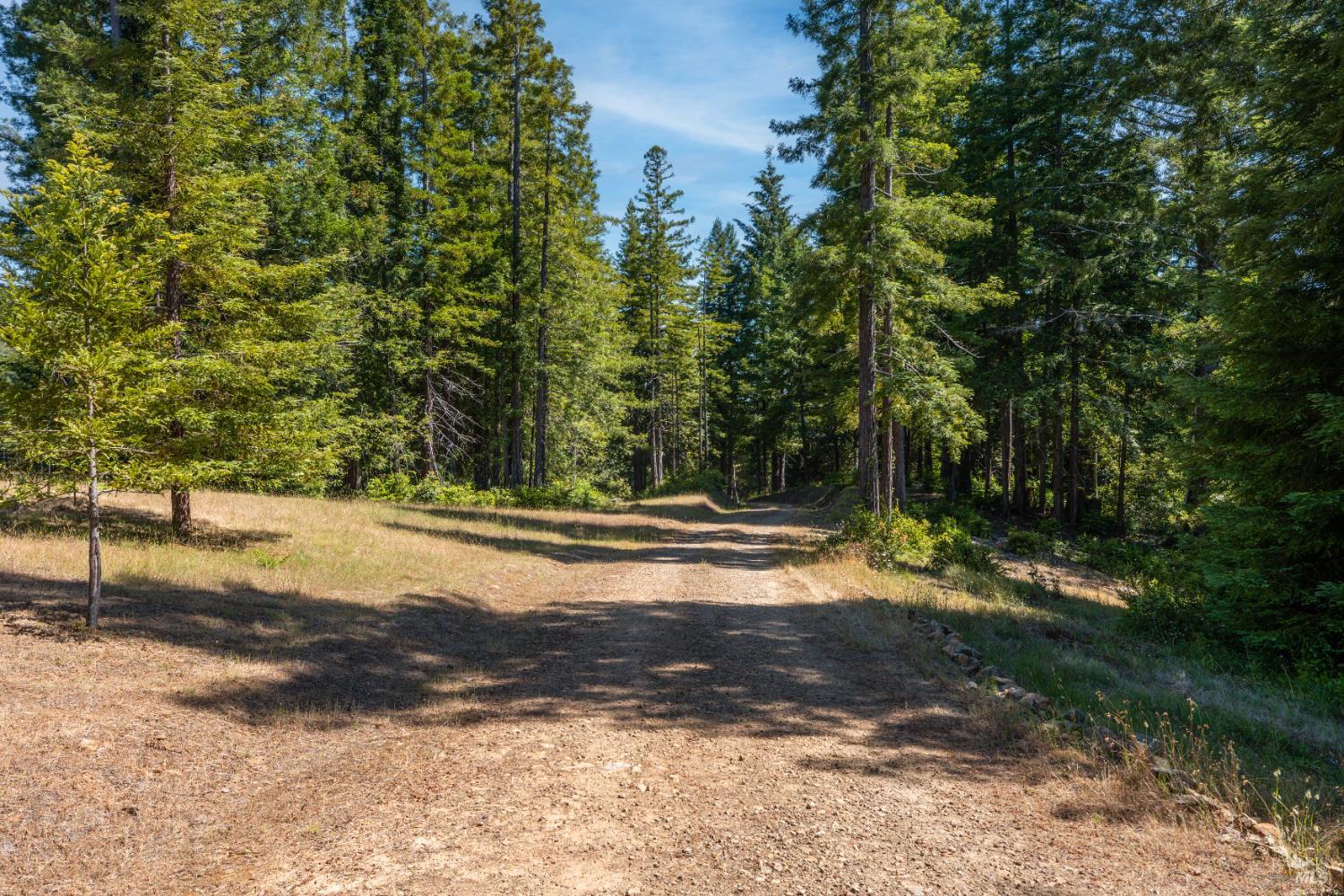 5801 Flynn Creek Road