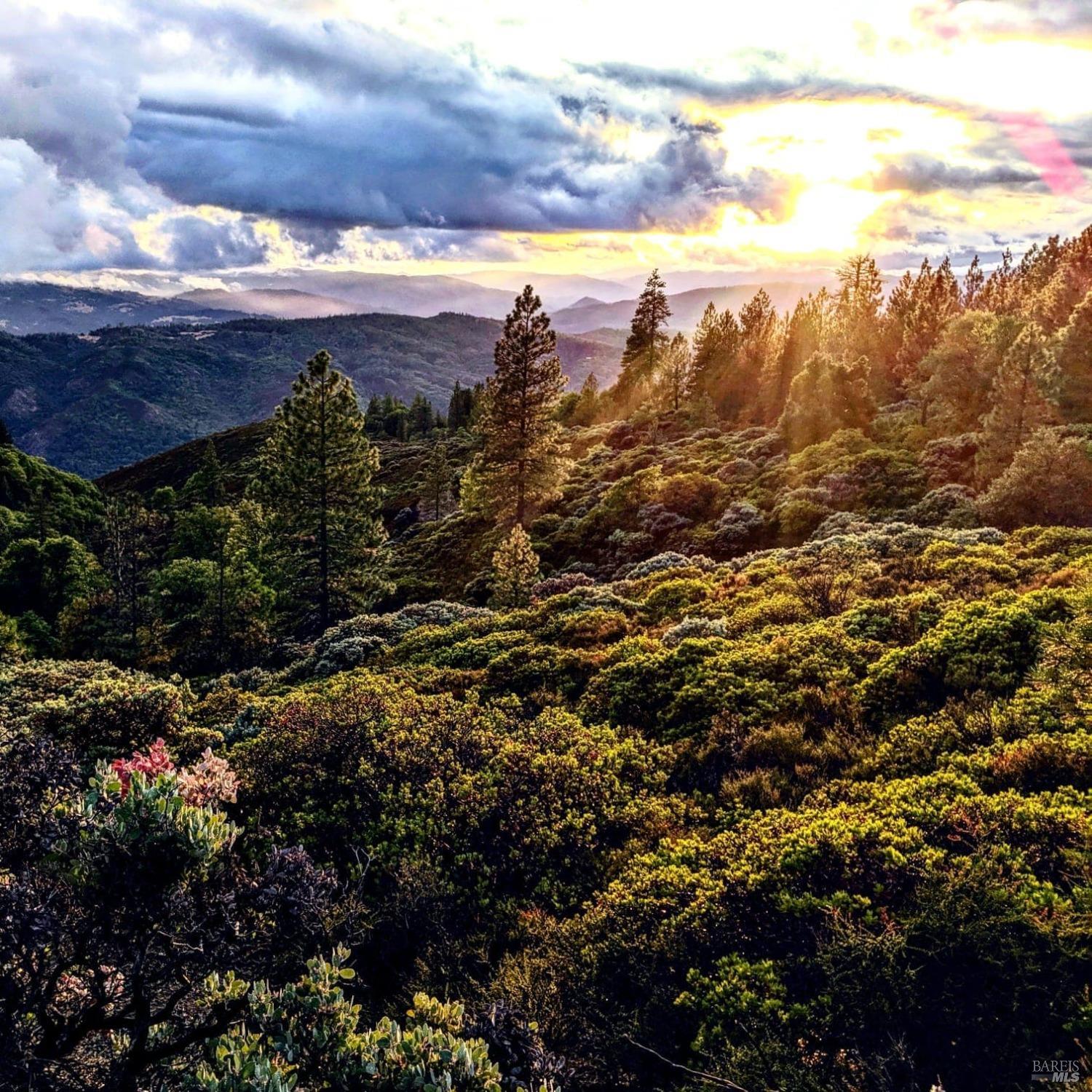 47700 Bentley Ridge Road