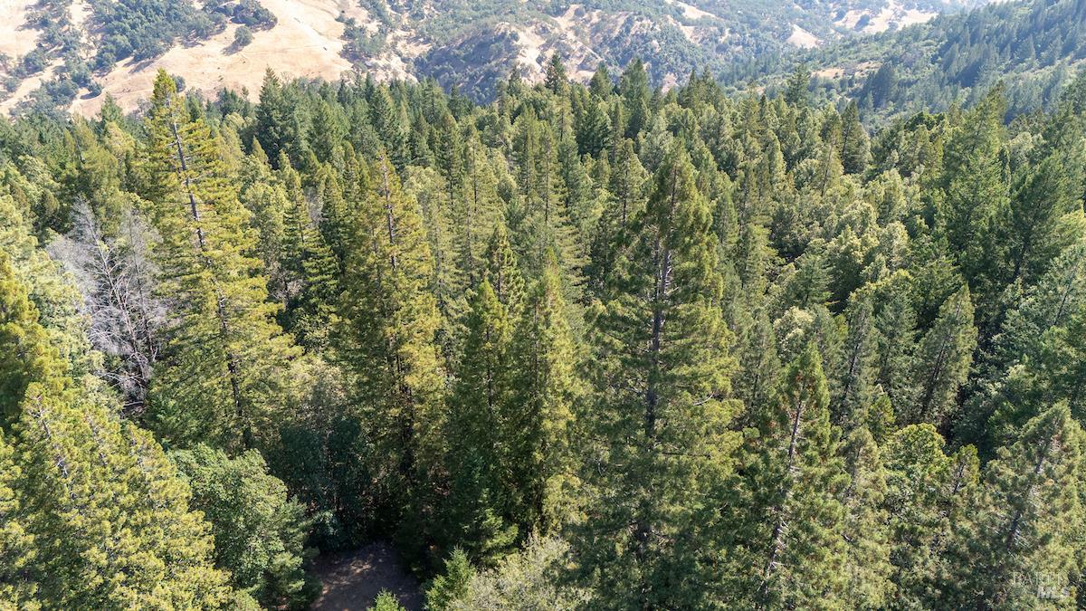 30401 Hwy 128 Highway