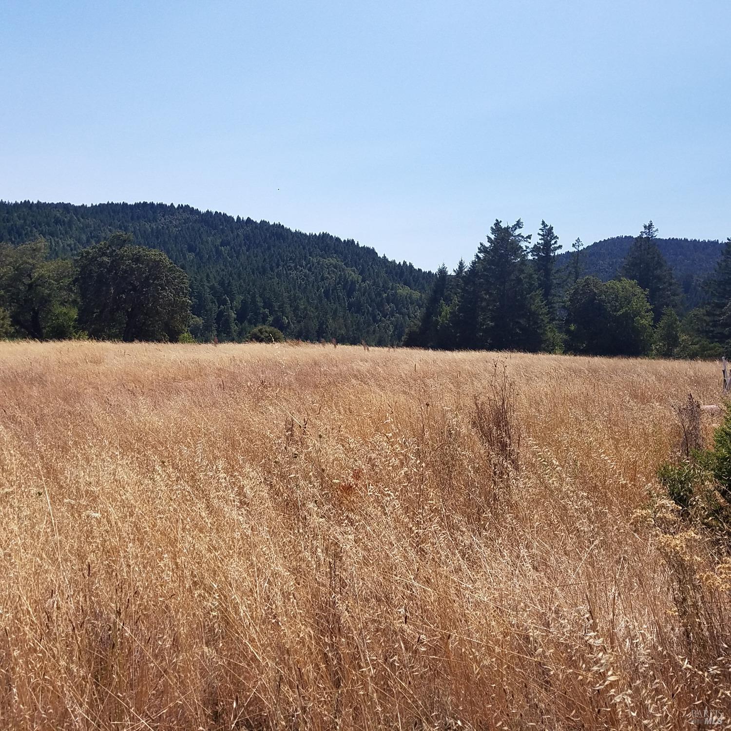 80090 Road 442b Road