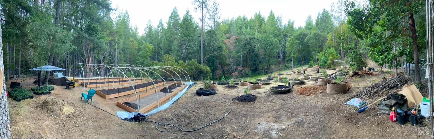 1901 Tenmile Creek Road