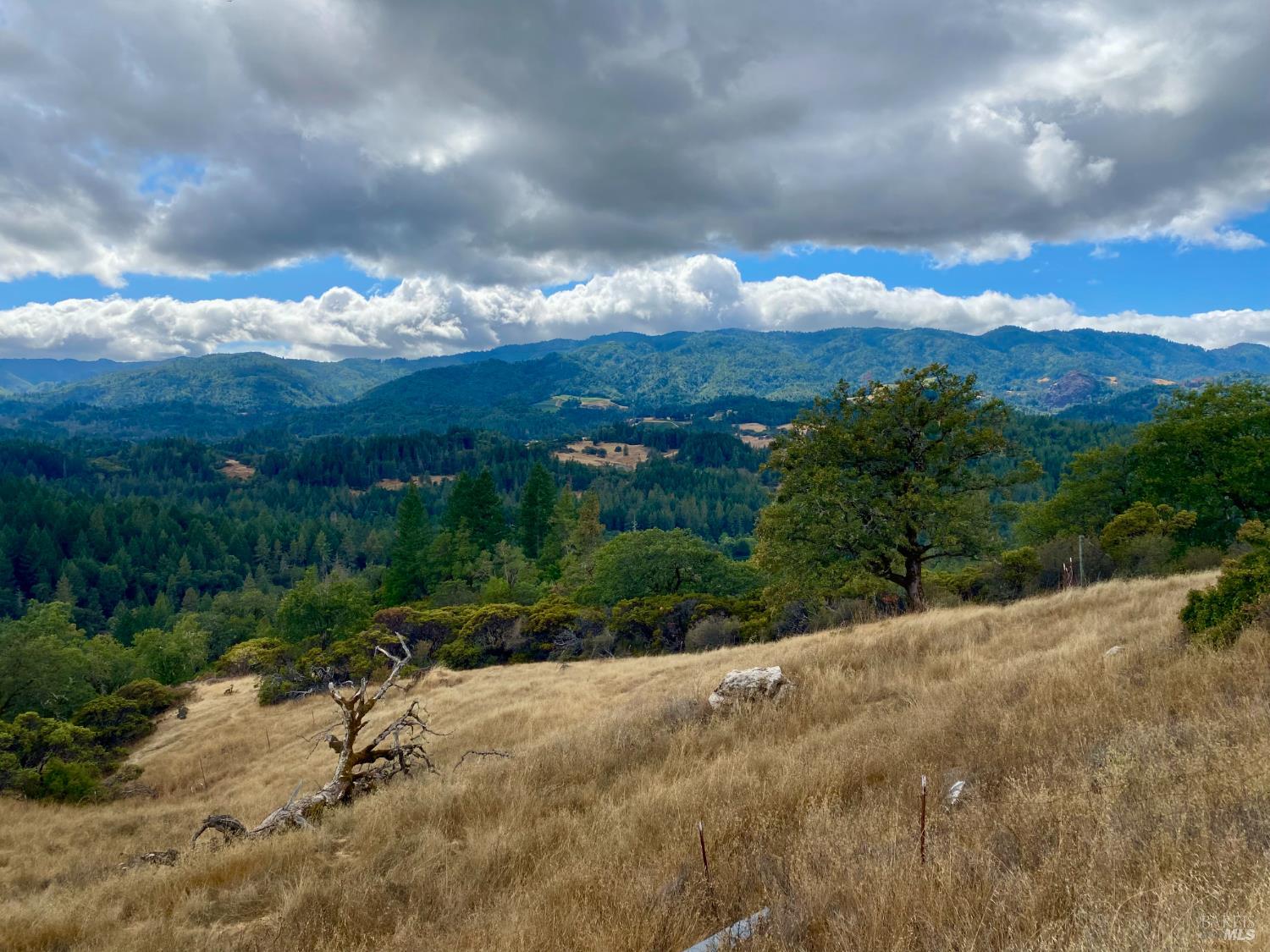 46700 Highway 101 None