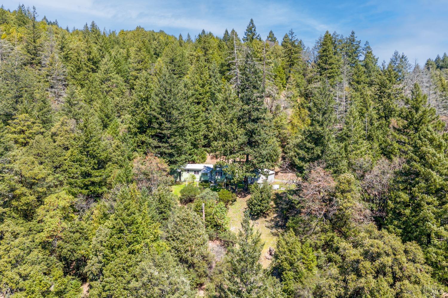 59145 Bell Springs Road