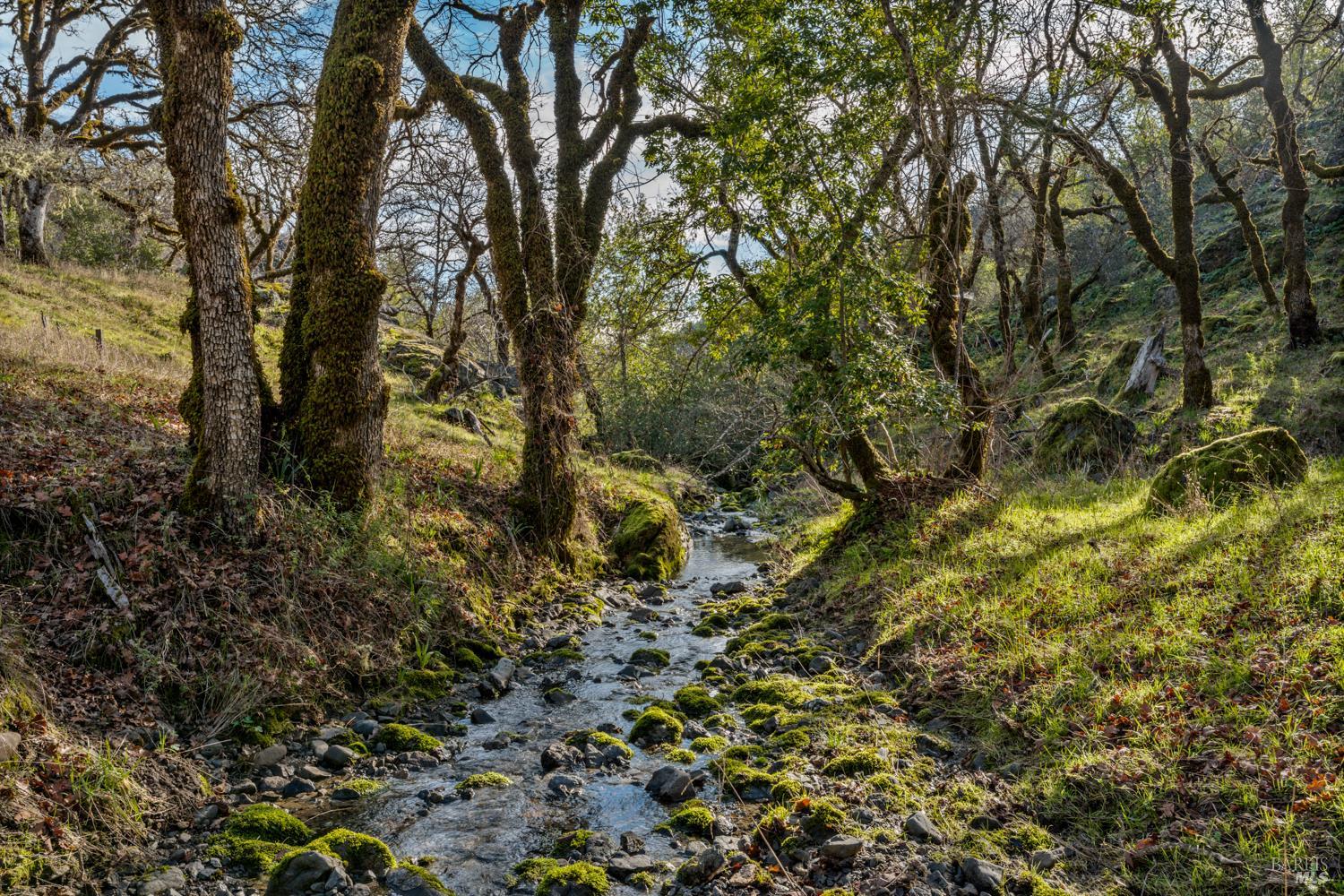 5400 Orr Springs Road